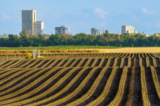 Freshly plowed farmland with dramatic furrow patterns stretching toward Vienna's modern city buildings, illustrating urban farming, agricultural development, and rural-urban contrast in Austria's capi