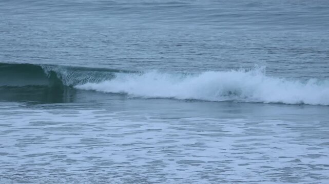 Cold wave curling in the Barents Sea near Teriberka. Dark blue water with white foam under an overcast sky