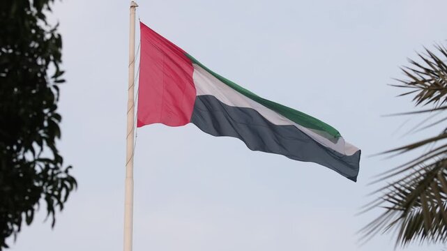 UAE flag waving in the sky between the trees, national symbol of UAE
