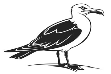 Obraz premium Elegant Seagull Standing Vector Illustration