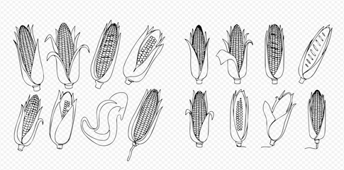 Hand-drawn black and white sketch illustration of various corn on the cob designs.