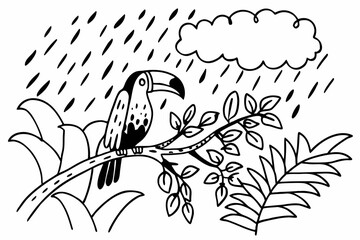 Fototapeta premium Tropical Toucan Bird Perched on Branch in Rain