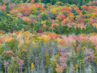 autumn in the mountains