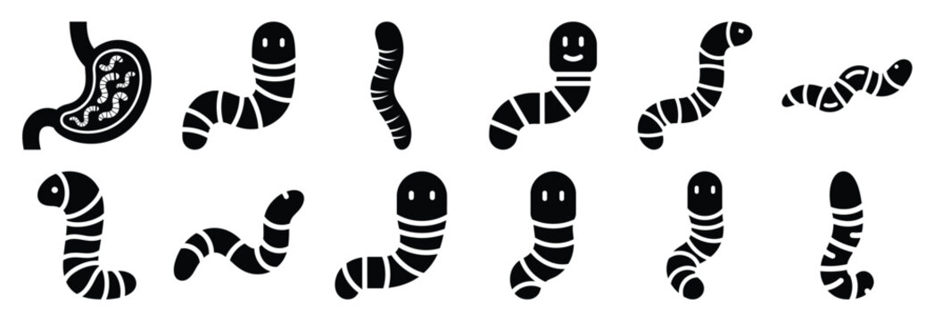 set of worm infection silhouette icon vector illustration isolated on white background