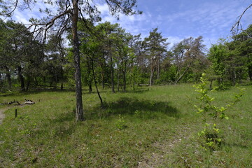 Naturschutz- und Landschaftsschutzgebiet H&ouml;hfeldplatte bei Th&uuml;ngersheim, Landkreis Main-Spessart, Unterfranken, Bayern, Deutschland