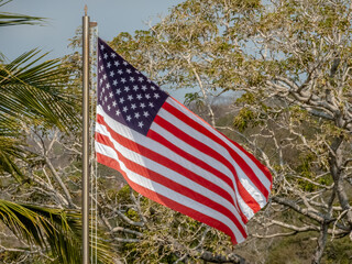 The United States flag waves from a metal pole in bright daylight, set against lush palm leaves and dry trees in a tropical environment in Huatulco, Oaxaca, Mexico.