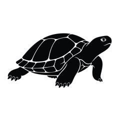 Black silhouette of a turtle on a white background