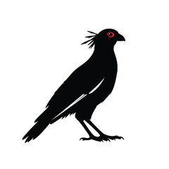 Hoatzin bird silhouette with distinctive crest and red eyes