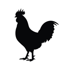Black silhouette of a rooster on white background