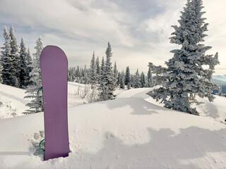 Purple snowboard in snow with mountain view and frosted trees