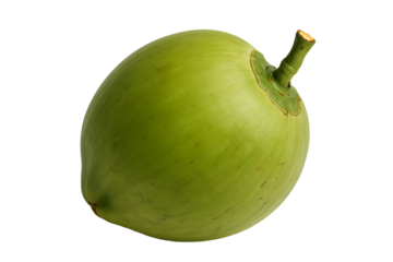 Single fresh green coconut fruit with stem isolated on white background.