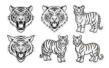 Cute cartoon vector set of tiger heads featuring wild striped feline animals isolated on a white background