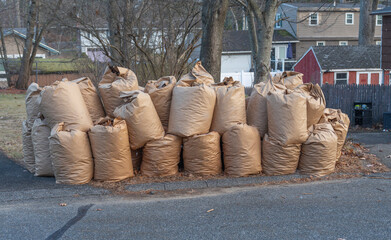 fallen leaves collected in recycle paper bag in autumn for curbside recycling