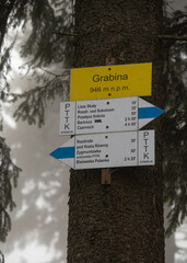 Gęsta mgła przenika między pniami drzew, tworząc tajemniczą, spokojną i nieco mroczną atmosferę. Minimalistyczna kompozycja, stonowana kolorystyka i naturalne światło podkreślają surowość oraz dzikość