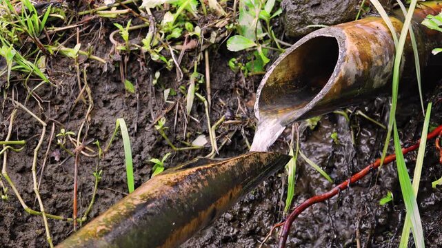 Close-up of water flowing through bamboo pipes. Beautiful handcrafted fountain made of natural materials. Traditional Japanese deer scarer in details. Zen and meditation concept. Camera stays still.