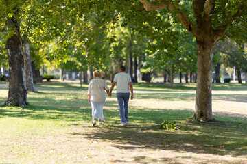Fototapeta premium Senior couple walking hand in hand in green park