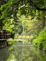 A bridge over a park canal