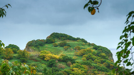 Muroran, Hokkaido, Japan - Oct 4 2024, panoramic view of forested cape, in vicinity of Muroran, with leaves on foreground, in cloudy weather, without people, at daytime, Muroran, Japan