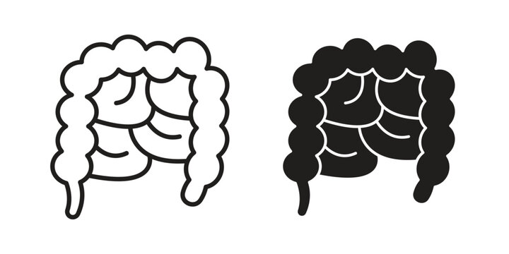 Large intestine icon for website, thin line icons. vector logo design