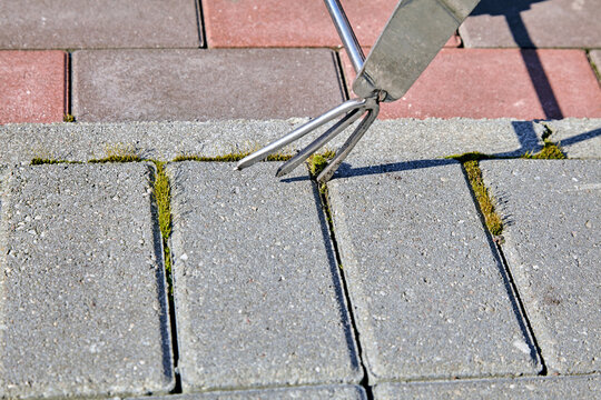 Cleaning moss from concrete paving slabs using a tool
