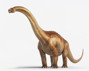 3D Illustration of Brachiosaurus Dinosaur with Long Neck, Small Head, and Heavy Legs, Isolated on White Background