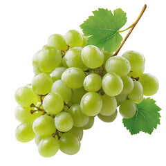 Fototapeta premium Fresh Green Grapes on a Vine With Leaves During Daytime in a Bright Setting