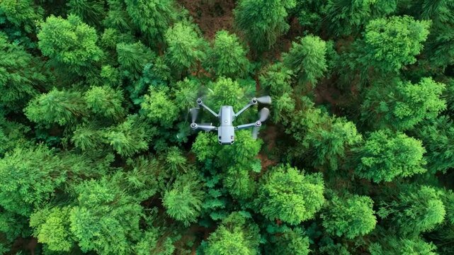 A medium shot of a drone flying over a lush grove capturing highresolution images to analyze tree health and growth patterns from above.