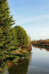 Fototapeta premium Canal reflecting green trees and clear blue sky on a tranquil sunny day, showcasing peaceful nature landscape