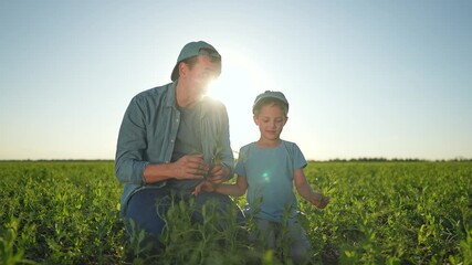 Father son duo learning green. Child listens father showing plant. Field outdoor summer teaching. Father child enjoy field time. Boy holds plant learning green. Father teaching son about field.