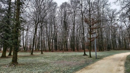 Jesień w parku  © WalDec