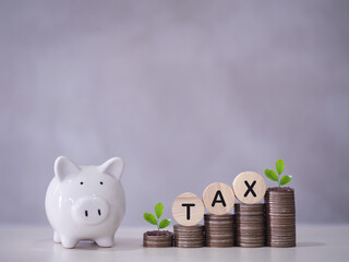 Piggy bank, Wooden blocks with the word TAX and plants growing up on stack of coins. The concept of...