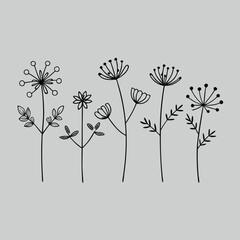 Naklejka premium Black Line Drawing of Five Different Wildflowers on Gray Background illustration line art