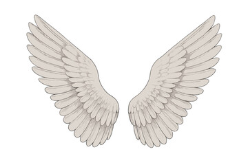 Pair of white angel wings spreading outwards with a soft glow © icon_art