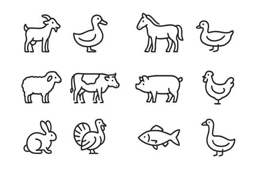 Farm Animals Icons Set on Dark Background