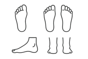 Foot anatomy icons © Andrei