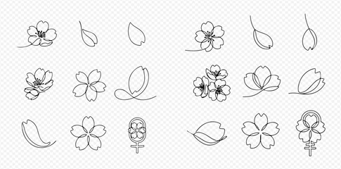 Set of minimalist cherry blossom flower and petal line art illustrations on transparent background. © Lunara Arts