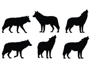 Silhouettes of wolves in various poses against a white background © MDSAEEM