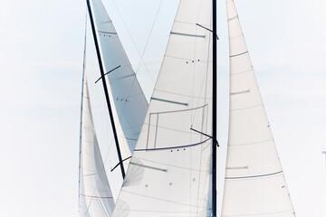 Fototapeta premium multiple sails at the sailing regatta in the Gulf of Finland, hot race of several yachts, nobody