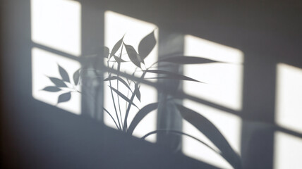 Shadows dancing on the wall with each movement