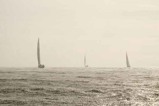 Sailing regatta in the Gulf of Finland in heavily rain, few sailing yachts competing in a race, splashing water from under the boats, teamwork, board the boat