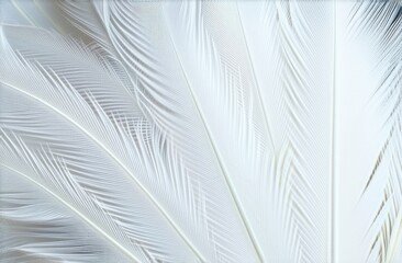white feathers overlapping, textural macro, Cloud Dancer Color of 2026.