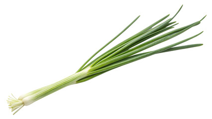 Fresh green onion stalk perfect for culinary design and healthy eating promotion featuring vibrant natural color on transparent background