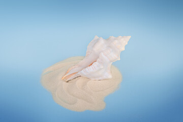 Seashell on the sandy beach, summer vibes, travel, ocean, tropical relaxation