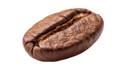 Extreme close up macro shot of a single roasted brown coffee bean on a deep highlighting texture and rich aroma potential on transparent background