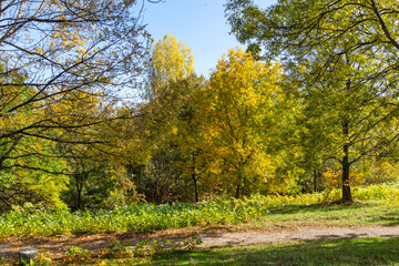 Autumn Landscape of South Park in city of Sofia, Bulgaria