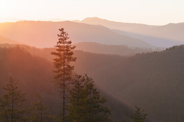 Mountains of the Basque Country from Uzpuru in the AIako Harriak nature reserve, Basque Country