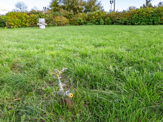 Small glass bottle is sitting in the grass