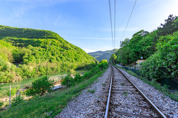 Train tracks run through a lush green forest