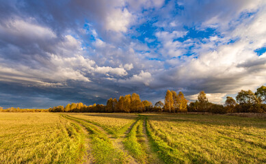 Obraz premium Field with a cloudy sky and trees in the background