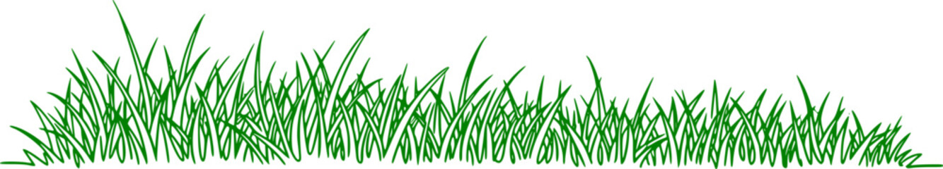 Fototapeta premium Grass line doodle. Outline grassland or meadow sketch, simple field design. Black grass brush stroke hand drawn texture for garden pattern or lawn. Herb marker vector isolated element